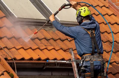 Démoussage et hydrofuge de toiture à Sainte-Opportune